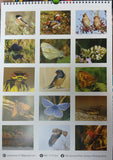 2025 Calendar by Pat Somers (Sanctuary Charity)